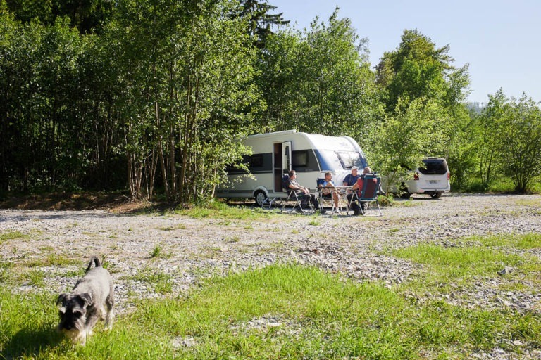 Ein Hund läuft in Richtung der Kamera. Im Hintergrund sind einige Männer auf Campingstühlen zu sehen.